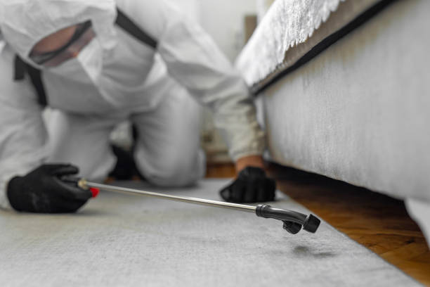 Professional Bed Bug Control technician working in Bloomfield, NY
