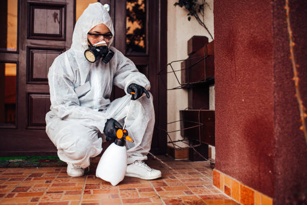 Reliable Bed Bug Control contractor in Bloomfield, NY by Nex Pest Control
